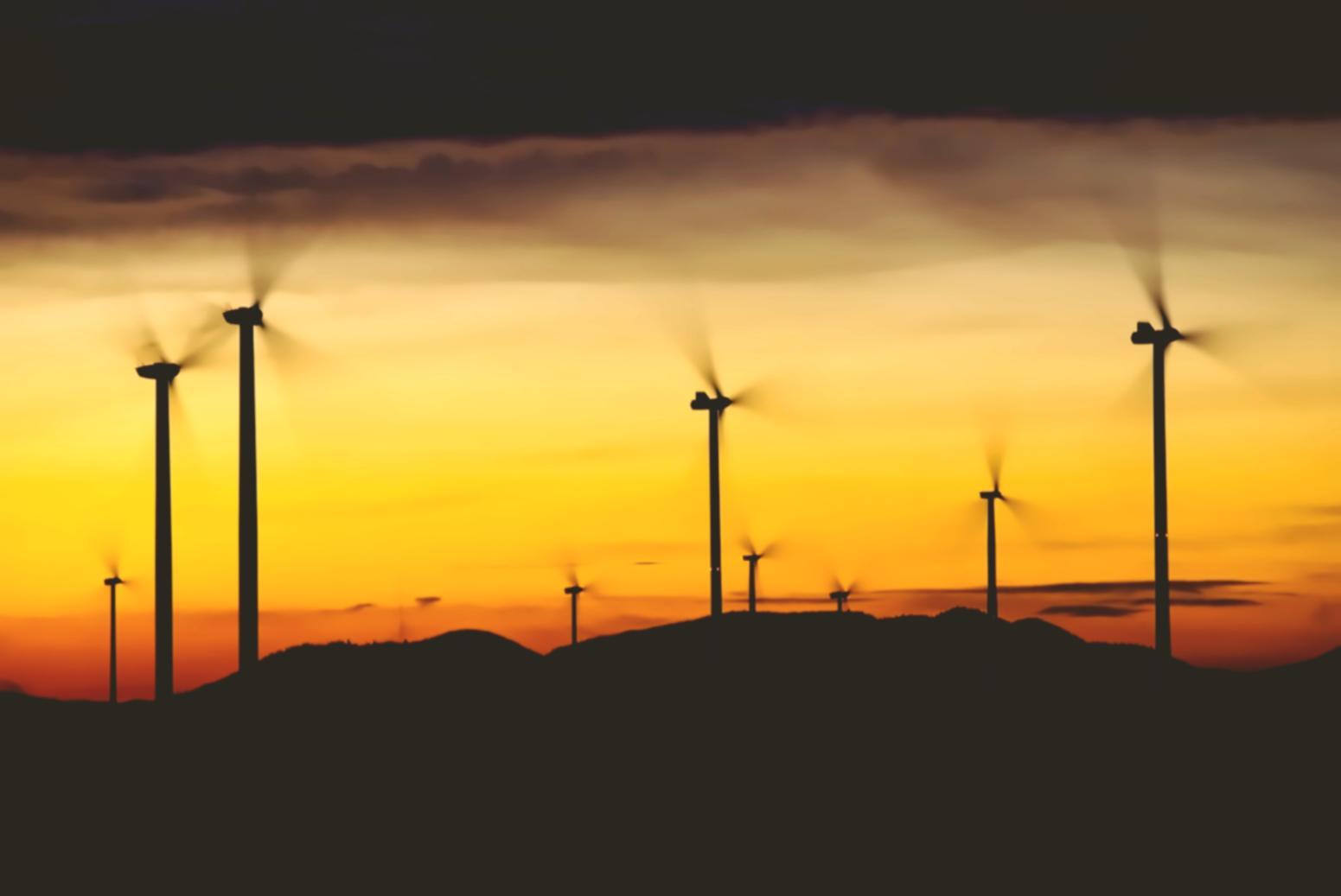 Switching to a Green Energy Tariff: What the Small Print Often Clarifies Too Late